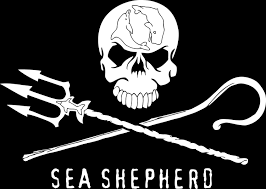 SEA SHEPHERD